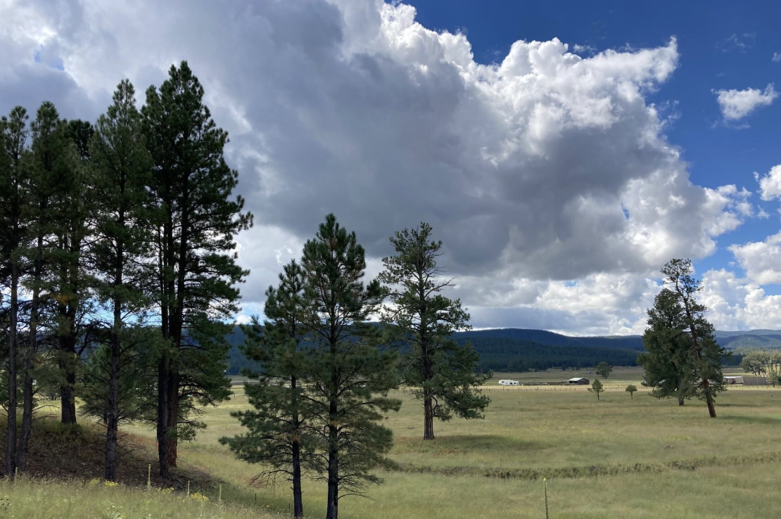 Header image for Family Towns