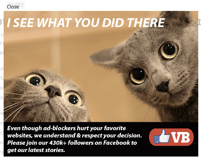 Well played Venture Beat. The one weakness of any internet user: cats.