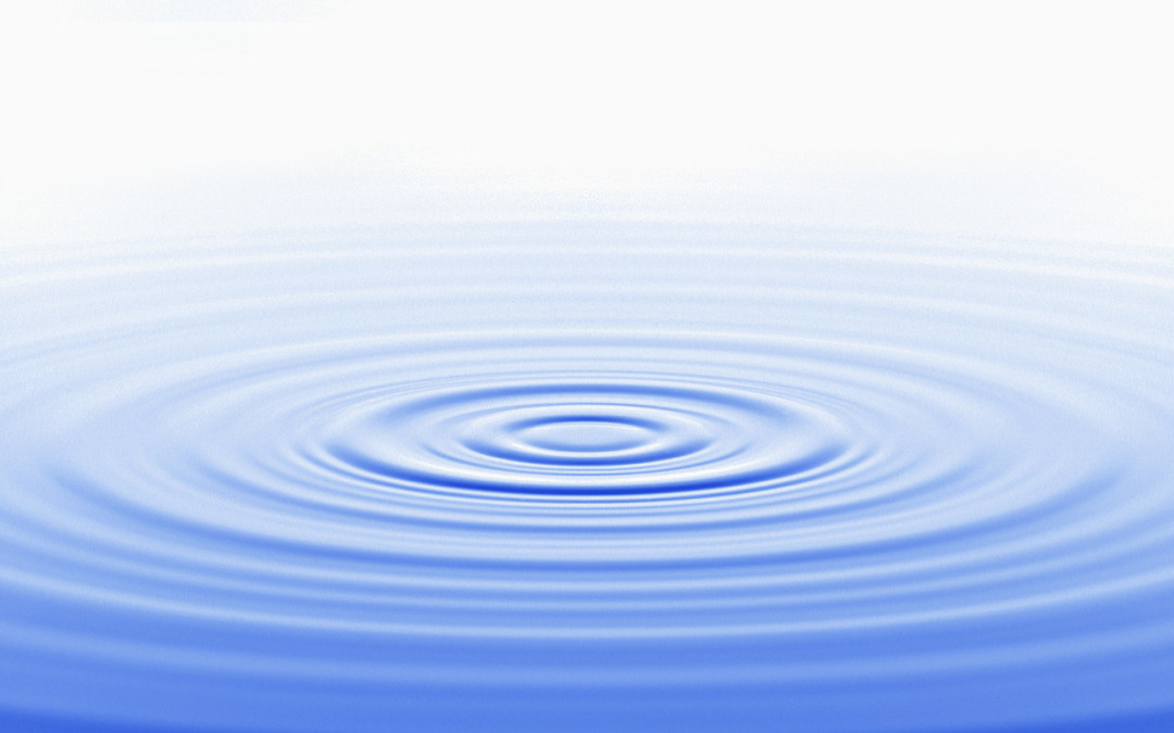 Sahil Bloom — image